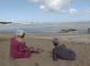 Sur le sable Résidence de la Presqu'Île Fouras-les-Bains